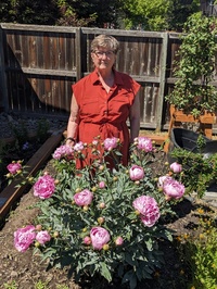 Donna J. Evans