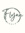 Flynn C...
