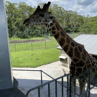 Gene de Gourville profile picture