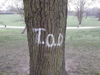Tod Wodicka profile picture