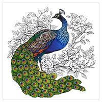 Adult Coloring Books profile picture