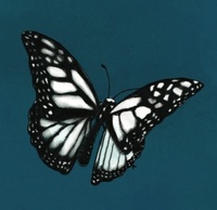 Emily Sinclair