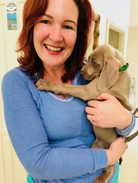 Kristin Haynes profile picture