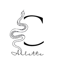 S.C. Arlette profile picture