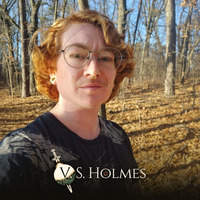 V.S. Holmes profile picture