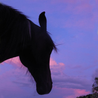 Jane Marie Allen Farmer