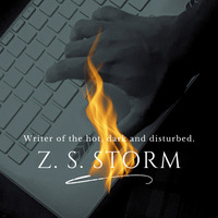 Z.S. Storm profile picture