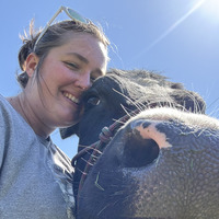 Sarah      Summers profile picture