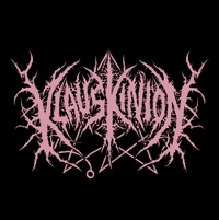 Klaus Kinion profile picture
