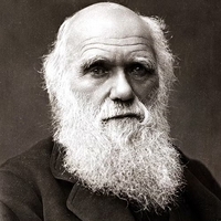 Charles Darwin profile picture