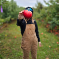 Morgan   Adams profile picture