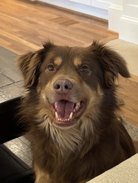 Jake  Burnett profile picture