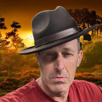 Moshe Sipper profile picture