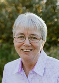 Susan A. Barnes