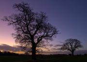 Stephen Allanson