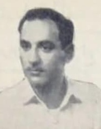 أنيس زكي حسن