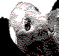 Meltdown Your Books (S.R.)