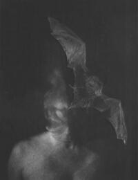 Georgina Anne Taylor