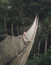 Marie-Josee Thibault