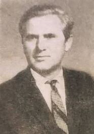 Skënder Jasa