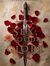 Elijah Wingnut