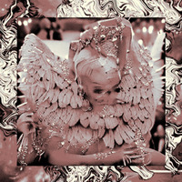 Meltdown Your Books (S.R.)