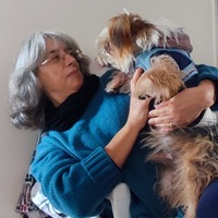Paula Cristina Simoes dos Santos Trigo Trigo