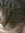 C.A.  F...