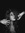 Ariel F...