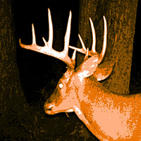Derek Wilks