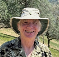 D. Wayne Berman