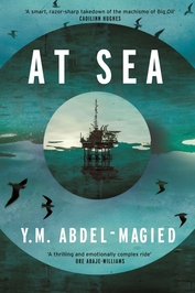 Y.M. Abdel-Magied