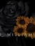 L.   Williams