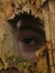 mwpm