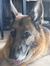 69062883