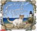 Comet's Nine Lives by Jan Brett