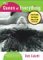 The Queen of Everything by Deb Caletti
