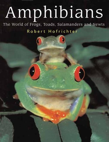 an in depth look at the amphibian in the order anura the frog an in depth look at the amphibian in the order anura the frog