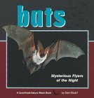 bats-mysterious-flyers-of-the-night