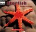Starfish by Lloyd G. Douglas
