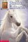 Stallion in the Storm (Animal Ark Hauntings #1) by Ben M. Baglio