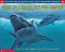 What Do Sharks Eat for Dinner?: Questions and Answers about Sharks