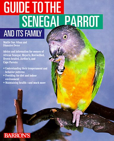 guide-to-the-senegal-parrot-and-it-s-family