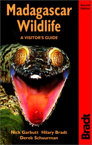 madagascar-wildlife-a-visitor-s-guide