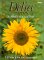 Delia Smith's Summer Collection: 140 Recipes for Summer