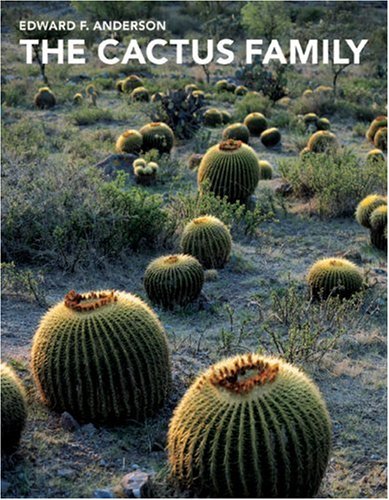 the-cactus-family