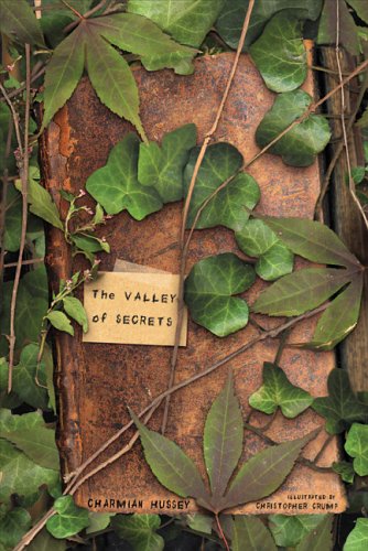 the-valley-of-secrets