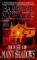 House Of Many Shadows by Barbara Michaels