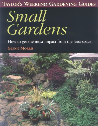 small-gardens-how-to-get-the-most-impact-from-the-least-space-taylor-s-weekend-gardening-guide