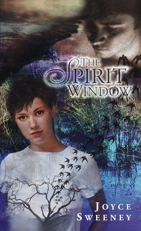 the-spirit-window